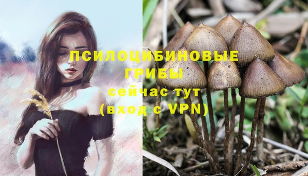 2c-b Верхний Тагил