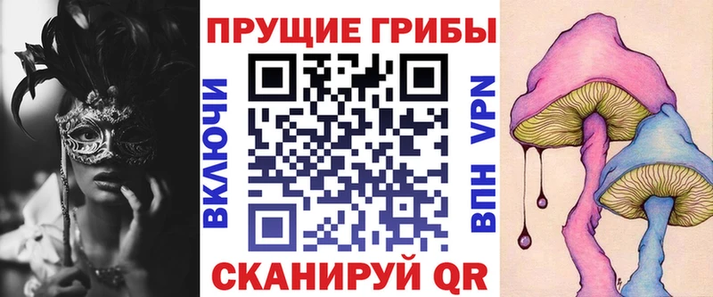 купить наркотик  Дзержинский  мега как войти  площадка Telegram  Псилоцибиновые грибы Cubensis 