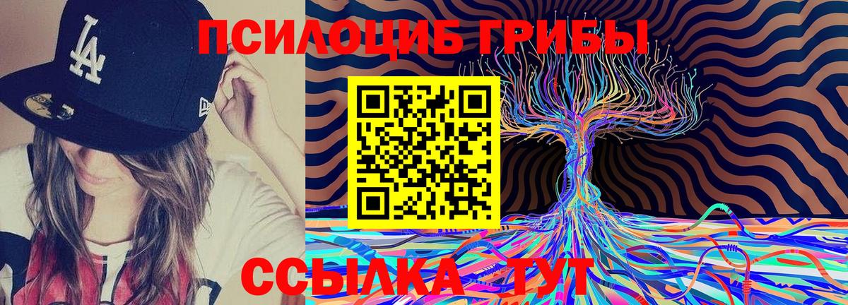 Псилоцибиновые грибы GOLDEN TEACHER  Галлюциногенные грибы ЛСД  Дзержинский 