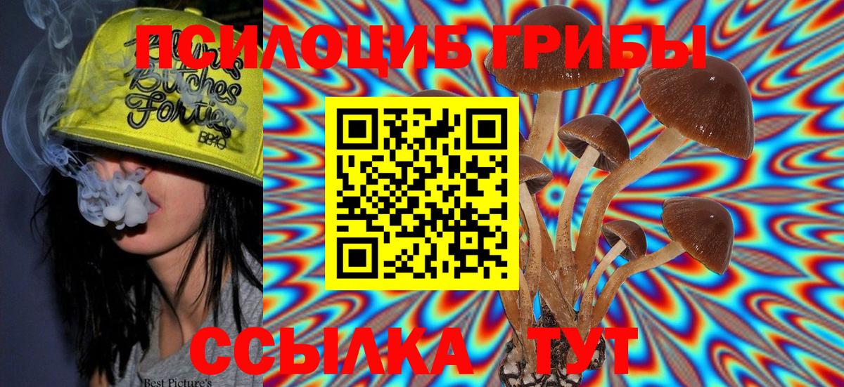 Галлюциногенные грибы Psilocybine cubensis Дзержинский