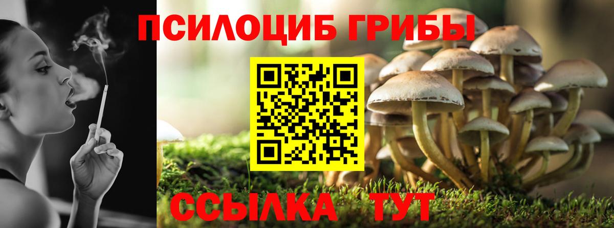 Галлюциногенные грибы Psilocybine cubensis  Вход с VPN  Дзержинский 