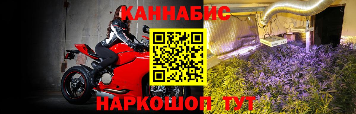 Конопля Bruce Banner Дзержинский